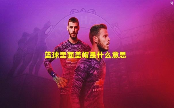 篮球里面盖帽是什么意思