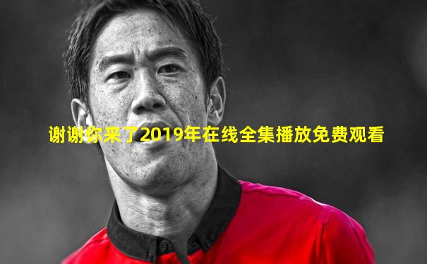 谢谢你来了2019年在线全集播放免费观看