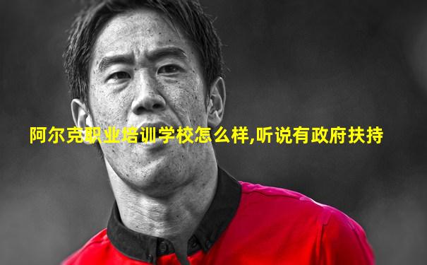 阿尔克职业培训学校怎么样,听说有政府扶持