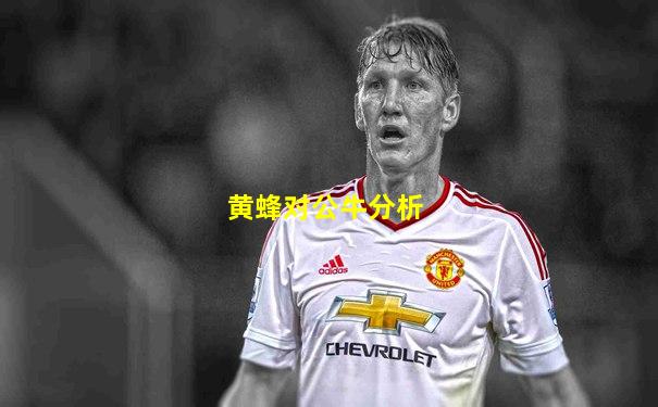 黄蜂对公牛分析